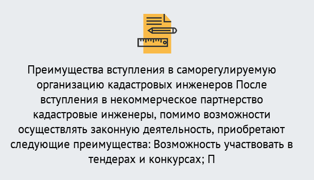 Почему нужно обратиться к нам? Мирный Что дает допуск СРО кадастровых инженеров?