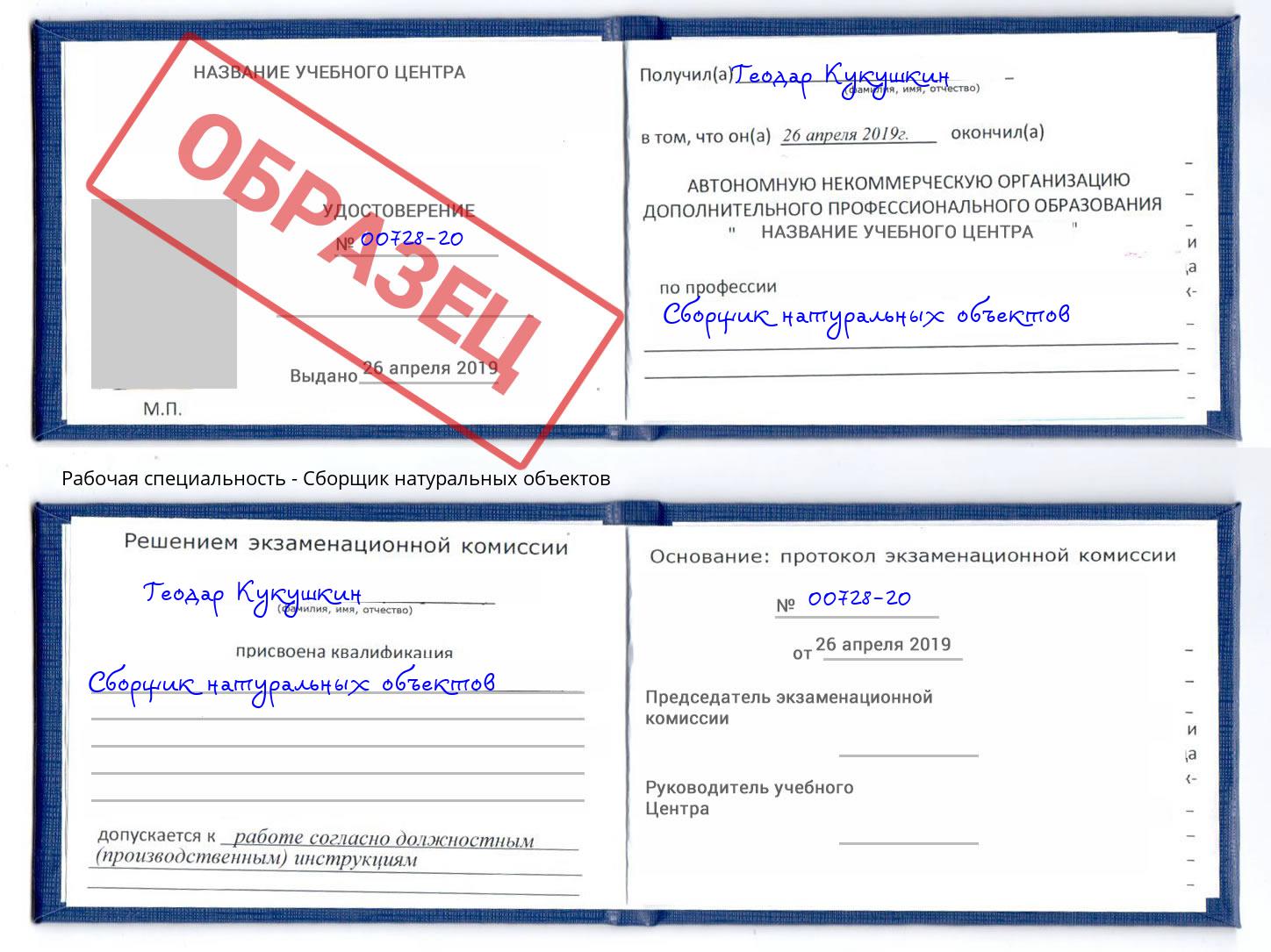 Сборщик натуральных объектов Мирный