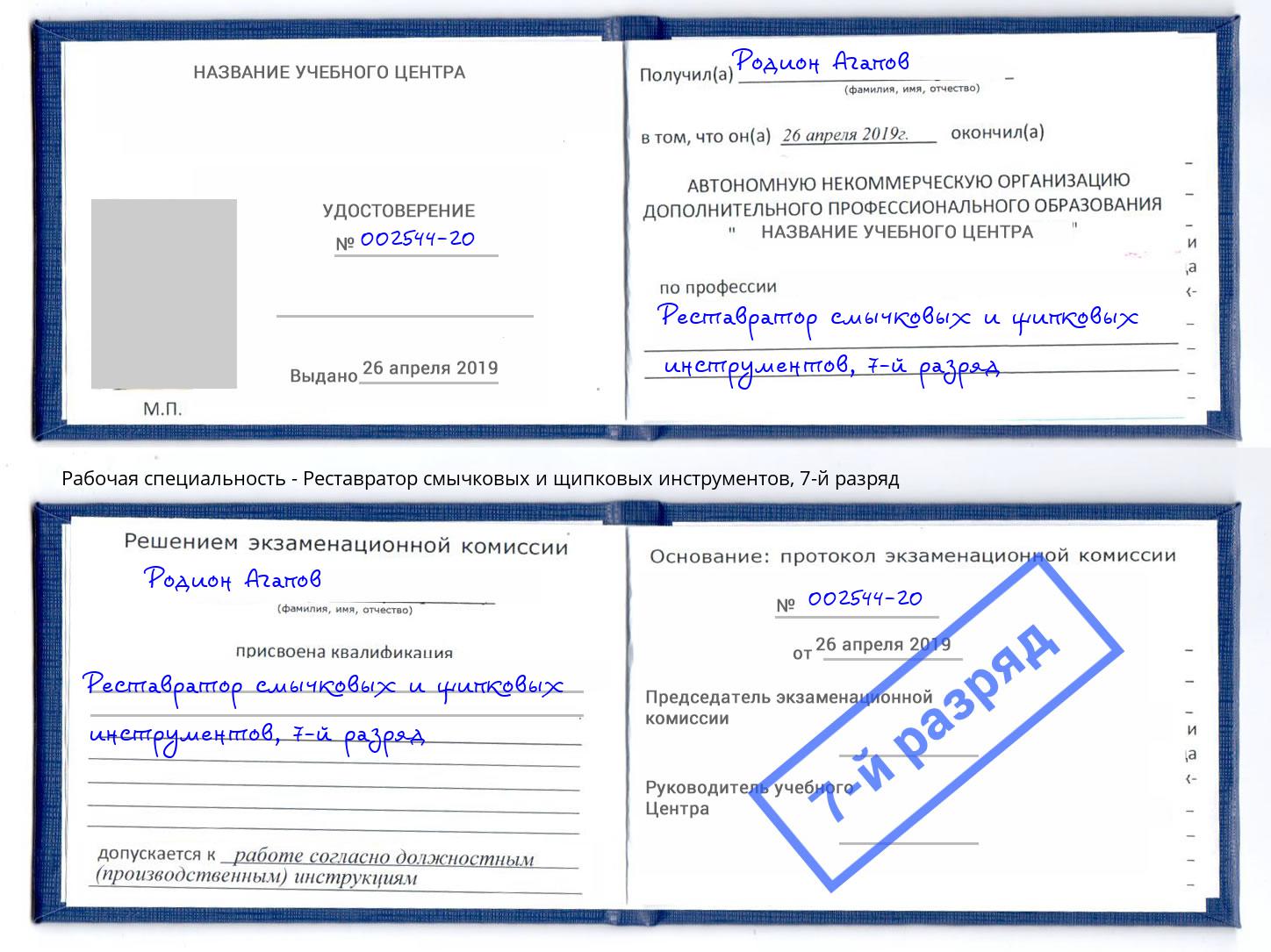 корочка 7-й разряд Реставратор смычковых и щипковых инструментов Мирный