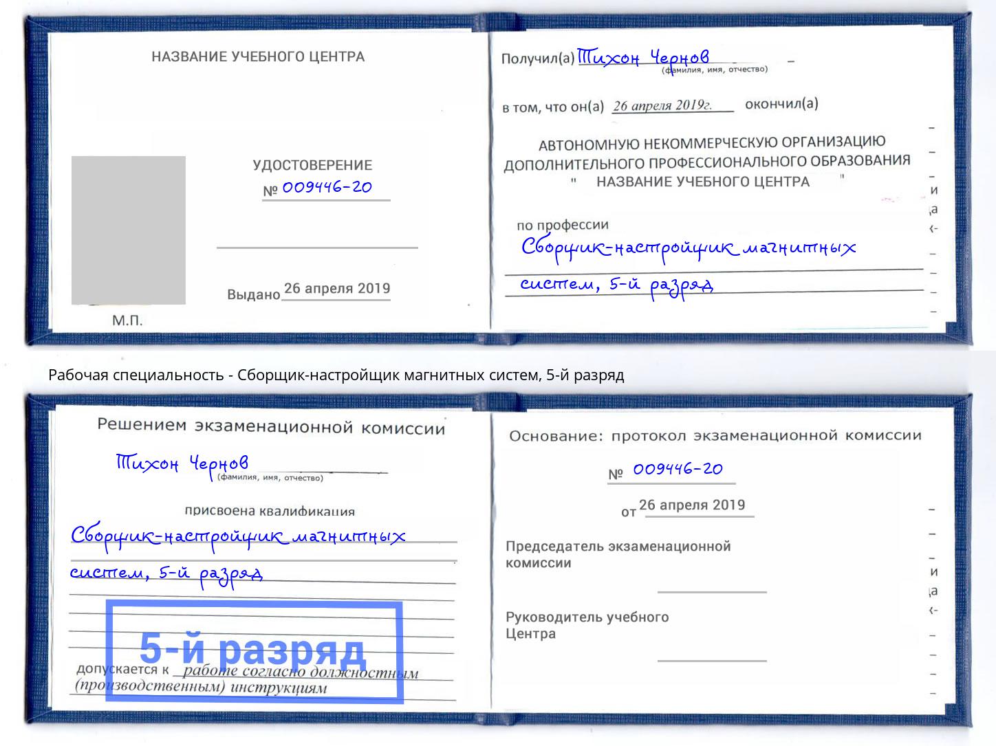 корочка 5-й разряд Сборщик-настройщик магнитных систем Мирный