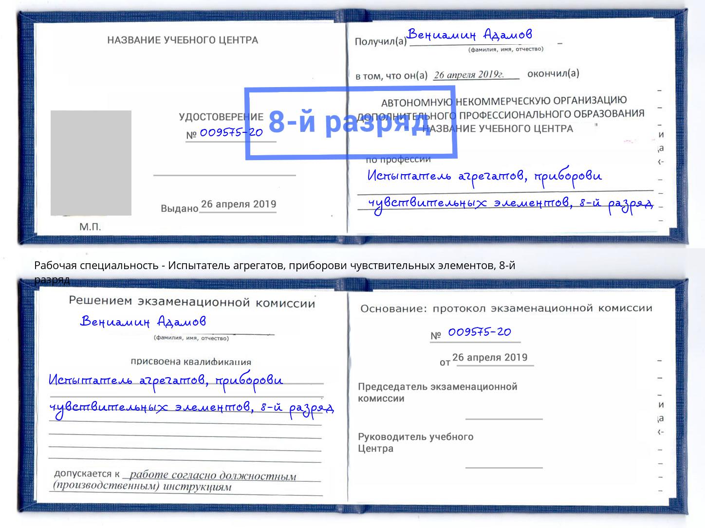 корочка 8-й разряд Испытатель агрегатов, приборови чувствительных элементов Мирный